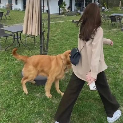 不伦恋曲