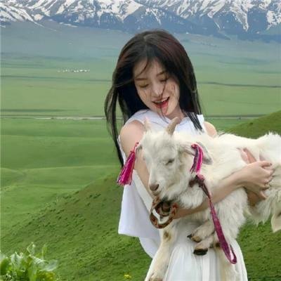 九凤家的锦鲤喵殿下